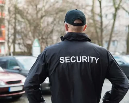 What-does-a-security-guard-do